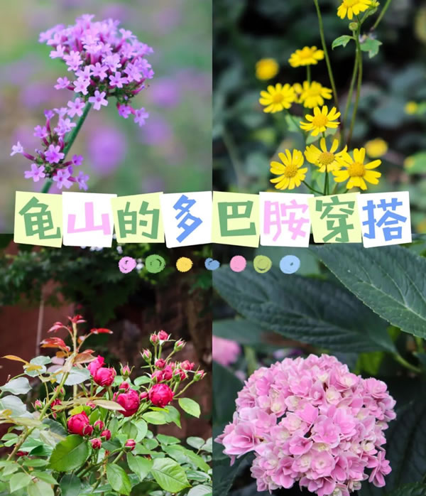 看！专属龟山的夏日多巴胺穿搭